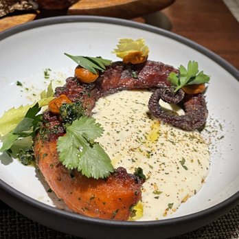 Bludorn - Octopus (must try!) - New American Near Me - Houston, Texas