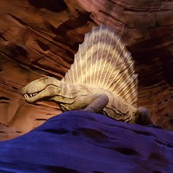 Gondwana - Das Praehistorium - Dimetrodon