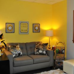 Indiana Health Group - Comfortable Offices