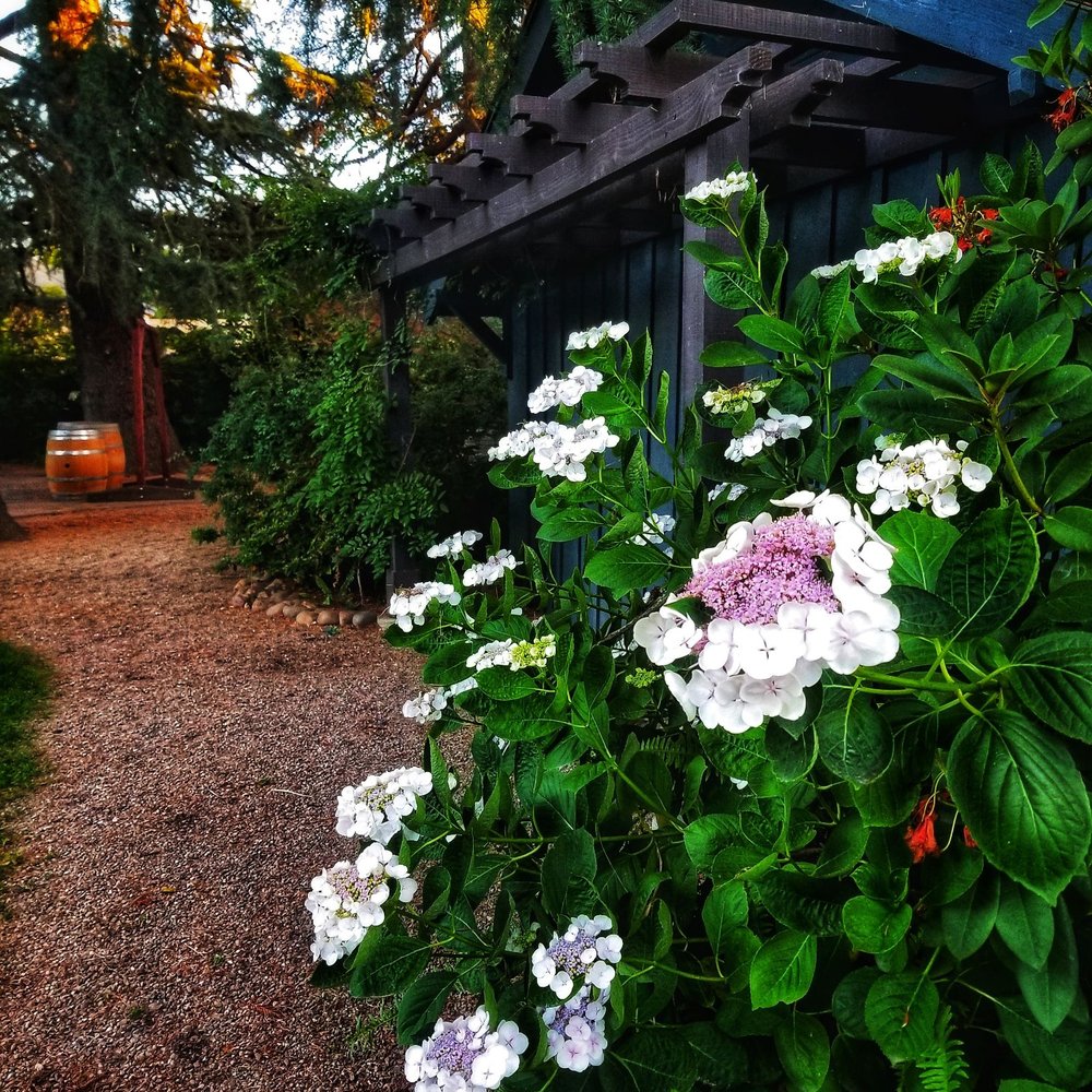 Åppellation - Venues & Event Spaces Near Me - Lodi, California Åppellation - Venues & Event Spaces Near Me - Lodi, California
