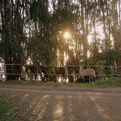 Posada del Parque - Posada del Parque