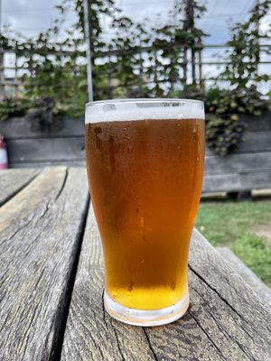 Greyline Brewing Co. by null