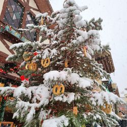 Front Street Park - Bakery-tree decor out front of park.