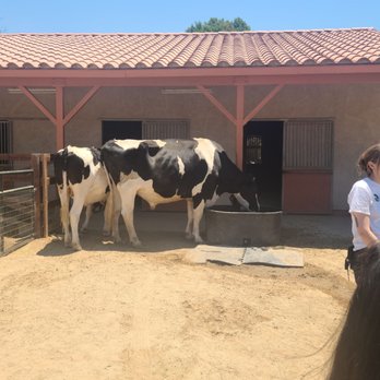 Farm Sanctuary - Animal Shelters Near Me - Acton, California Farm Sanctuary - Animal Shelters Near Me - Acton, California