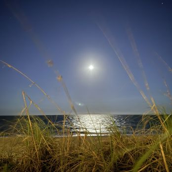 Cobalt - New American Near Me - Vero Beach, Florida