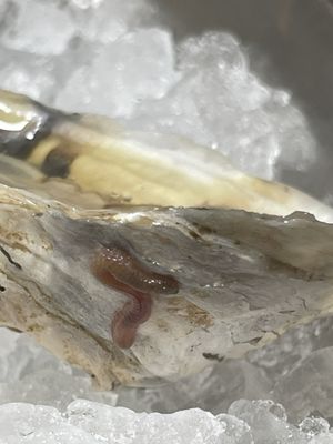 Detroit Fish House: Steak and Oyster Bar by null