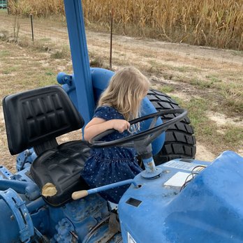 Clinton Sease Farms - A (formerly) real tractor kids can play on. - Local Flavor Near Me - Lexington, South Carolina Clinton Sease Farms - A (formerly) real tractor kids can play on. - Local Flavor Near Me - Lexington, South Carolina