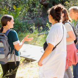 Wild Food & Medicinal Plant Tours of Monterey - Discover what food and medicine you can find in nature on an educational, family-friendly hike through the woods.