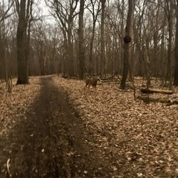 Forest Preserve District of Cook County, Illinois