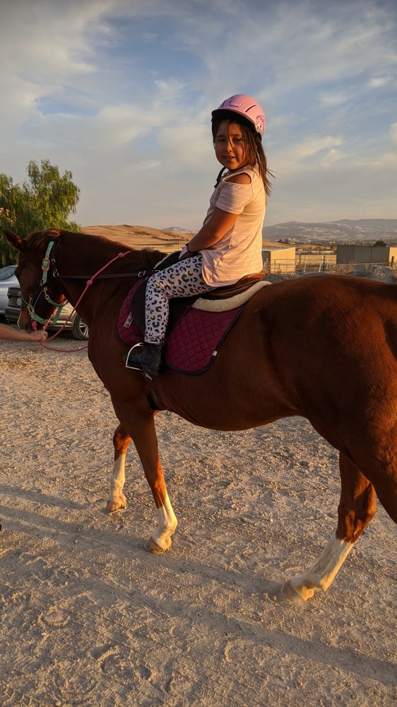 VALLEY VIEW EQUESTRIAN Updated August 2024 15 Photos & 11 Reviews