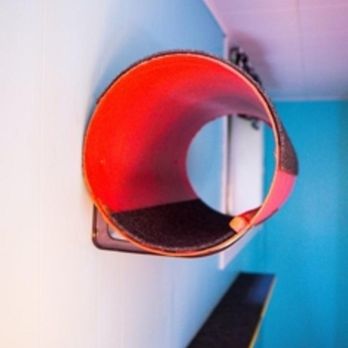 Halifax Kitty Hotel - Photo - Pet Boarding Near Me - Dartmouth, Nova Scotia