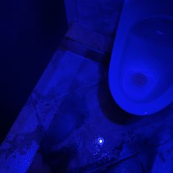 Best Buy South Bay Center - Blue light night club at the South Bay Home Depot