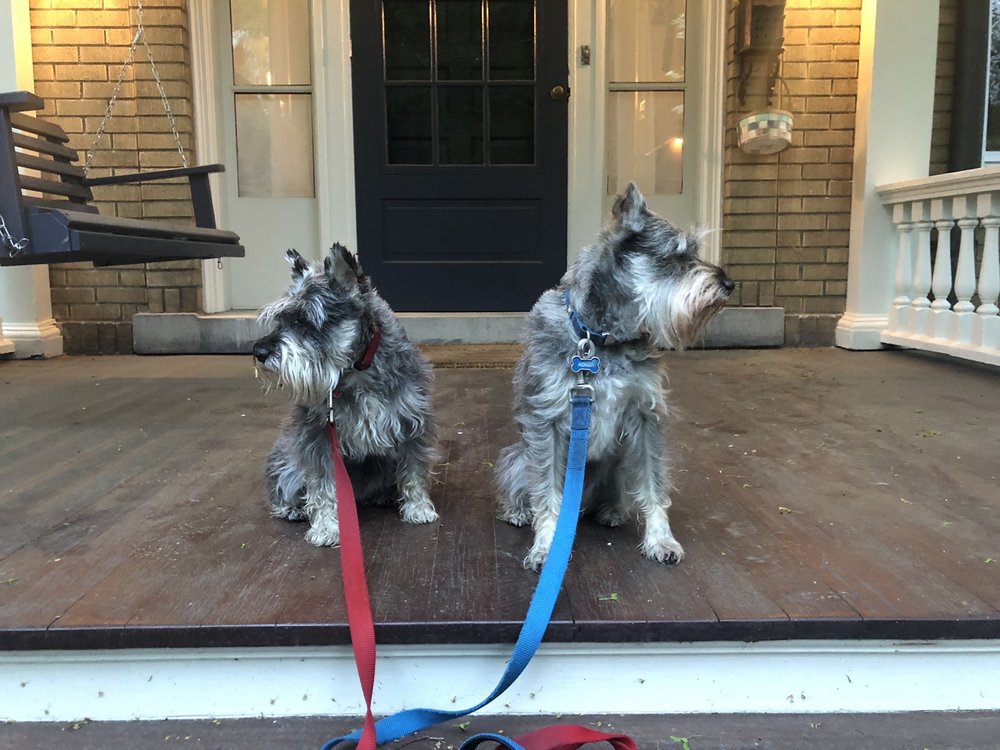 HUDSON VALLEY VETERINARY HOSPITAL Updated October 2024 273 Windsor