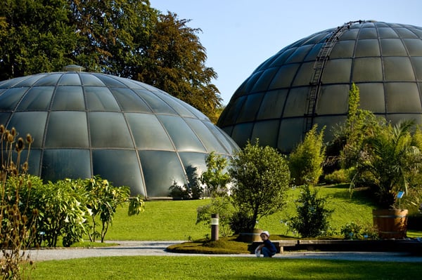 Botanical Garden by null