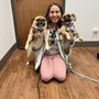 Photo of Boulevard Veterinary Logan Square