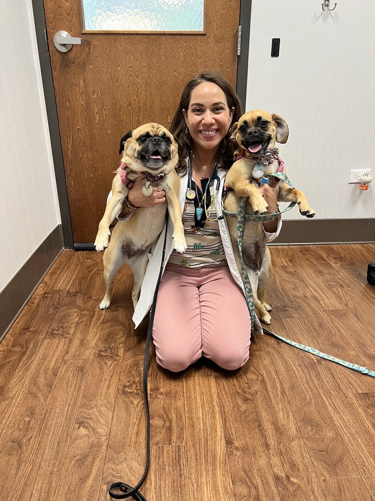 BOULEVARD VETERINARY LOGAN SQUARE Updated October 2024 54 Photos