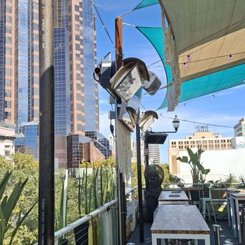 Darling Aviary - Bars Near Me - Sacramento, California