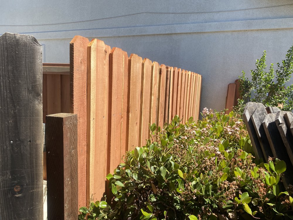 CREATIVE DESIGNS Updated September 2024 37 Photos Benicia