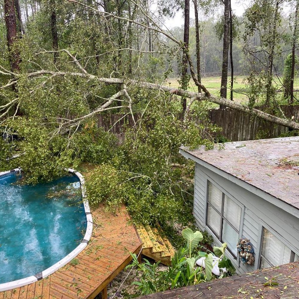 Engle Martin & Associates - 80' oak tree, up rooted and covered the entire back yard taking everything out in its path. nothing but removal of the tree at 500$ covered. - Atlanta, Georgia Engle Martin & Associates - 80' oak tree, up rooted and covered the entire back yard taking everything out in its path. nothing but removal of the tree at 500$ covered. - Atlanta, Georgia