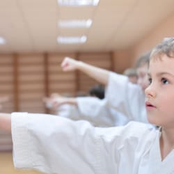 Olympic Karate