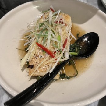 Slanted Door - Halibut (the best thing we had) - Vietnamese Near Me - San Ramon, California Slanted Door - Halibut (the best thing we had) - Vietnamese Near Me - San Ramon, California