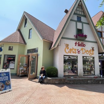 Hello Cats and Dogs - Pet Stores Near Me - Frankenmuth, Michigan Hello Cats and Dogs - Pet Stores Near Me - Frankenmuth, Michigan