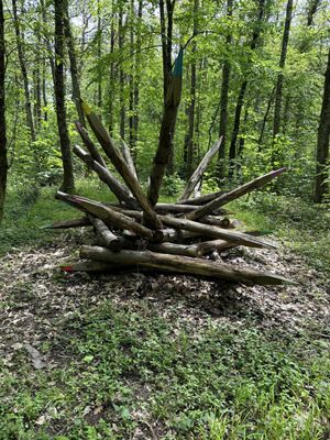 Château de la Bourdaisière by null