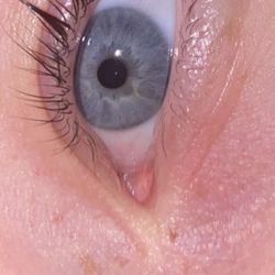 Amazing Lash Studio - What my leaves looked like with a good lash lift