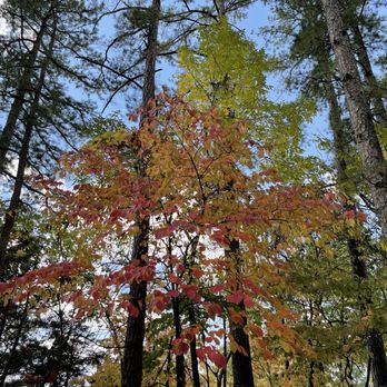 Clark Vitt Park - Fall colors on hike in early October 2022. - Parks Near Me - Union, Missouri
