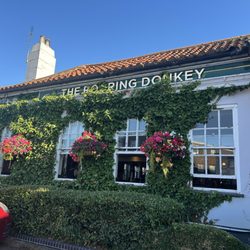 Roaring Donkey