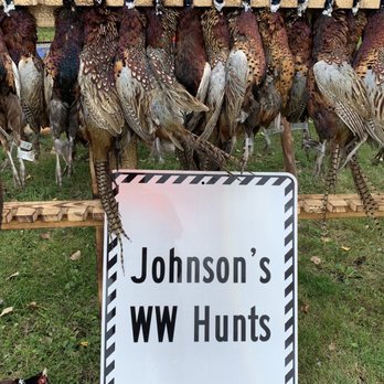 Johnson’s W W Hunts - Hunting - Bed & Breakfast Near Me - Gregory, South Dakota