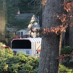 Mass Bay Tree Service - Professional chipping