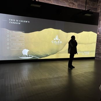 Cálem - Tour presentation - Wineries Near Me - Vila Nova de Gaia, 13
