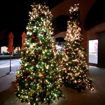 Pavilions - 12.15.22 Christmas trees!! - Shopping Centers Near Me - Sacramento, California Pavilions - 12.15.22 Christmas trees!! - Shopping Centers Near Me - Sacramento, California