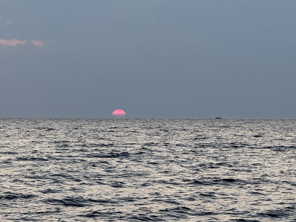 Sunshine Charters Logo