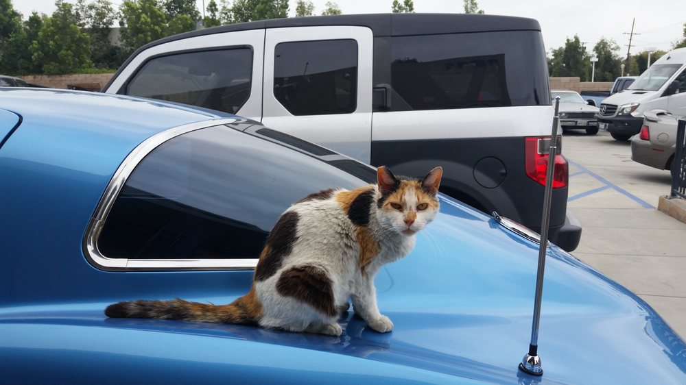 BOB’S PAINT & BODY SHOP 38 Reviews Body Shops 2211 E Walnut St