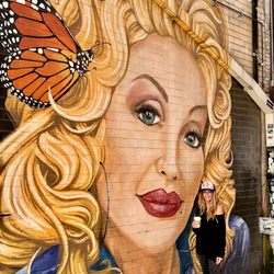 Recently moving back from Tennessee, I needed to bring some of Dolly back with me!