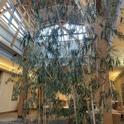 Duke Integrative Medicine