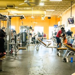 Fitness Evolution