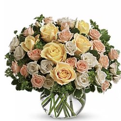 Johnson's Gardens - Flowers I ordered from Johnsons