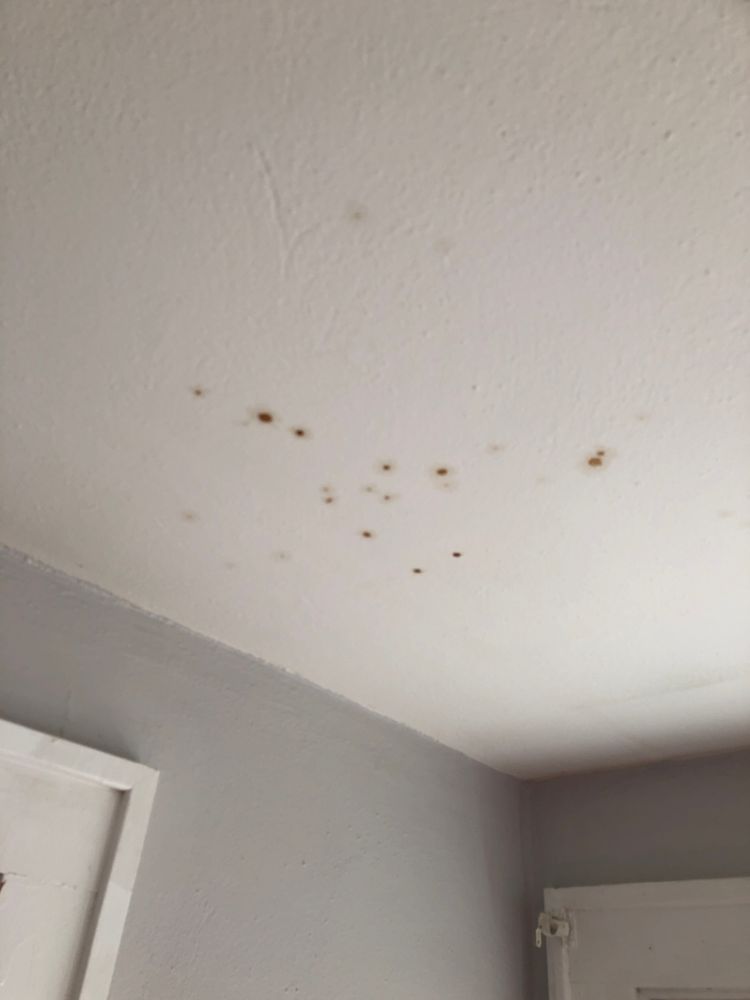 INFINITY REAL ESTATE AND MANAGEMENT GROUP Updated October 2024 14