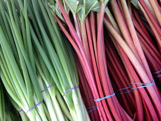 Southwest Farmers Market by null