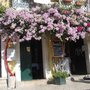 Photo of O Carvoeiro
