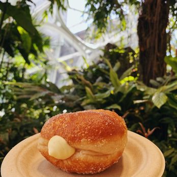 General Porpoise - IG: @foodsbysachi Vanilla Custard - Coffee & Tea Near Me - Seattle, Washington General Porpoise - IG: @foodsbysachi Vanilla Custard - Coffee & Tea Near Me - Seattle, Washington