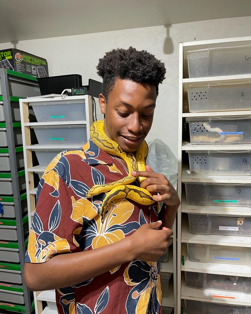 Slither Sity Pythons - reptile breeding in San Leandro, CA