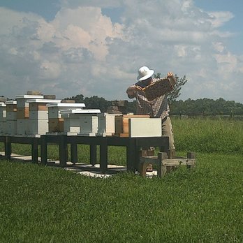 Bohemia Apiary - a man with a hat and a beehive - Honey Near Me
