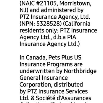 Pets Plus Us - Pet Services Near Me - Oakville, Ontario Pets Plus Us - Pet Services Near Me - Oakville, Ontario