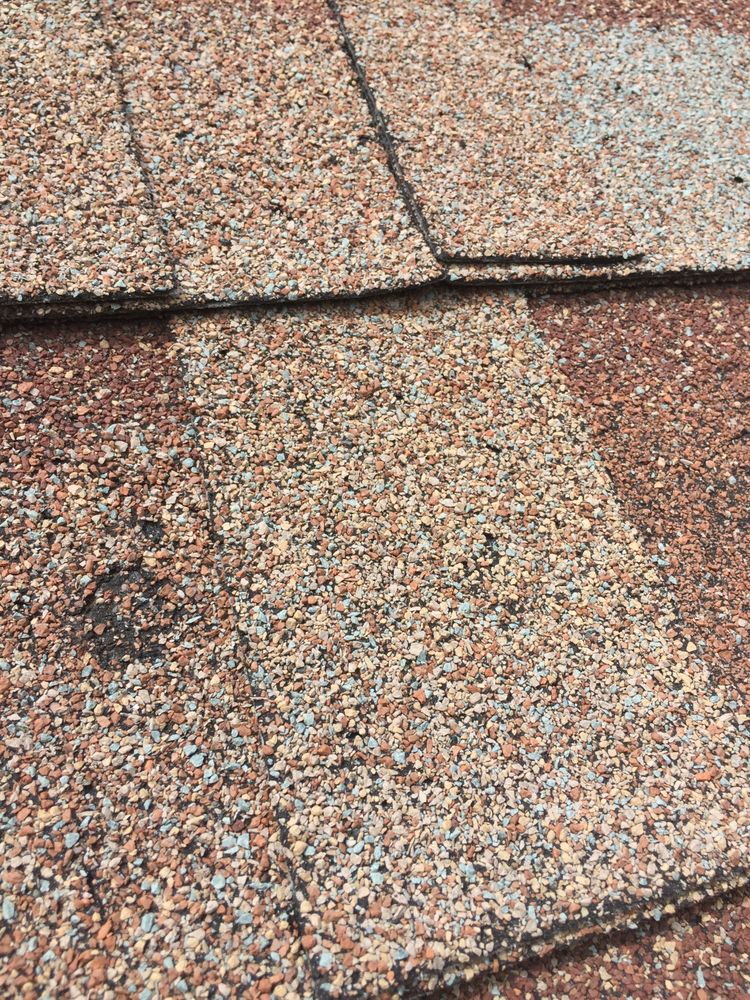 Slide of Palm Roof Company