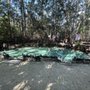 Reserva Ecológica El Corchito