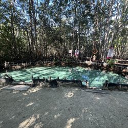 Reserva Ecológica El Corchito - the only clear cenote they have